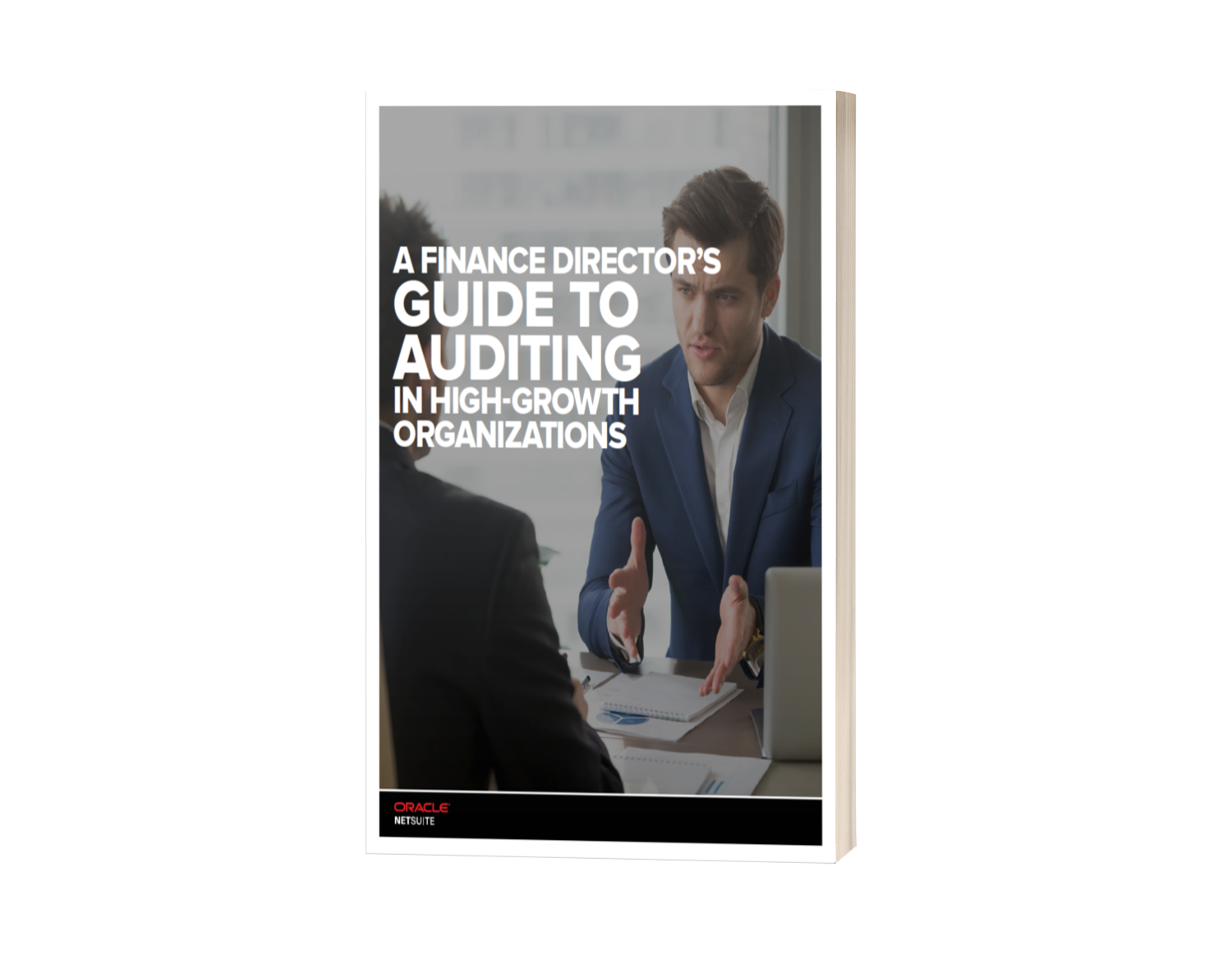 A Finance Directors Guide to Auditing